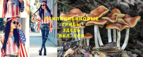 бутират Наволоки