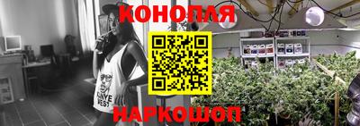 стафф Бийск