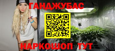 СК Бийск