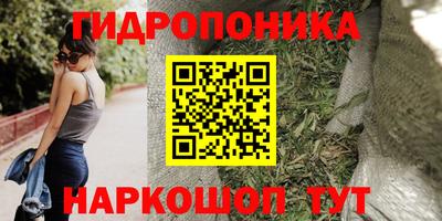 СК Бийск